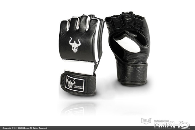 Warrior International MMA Pro Training Gloves